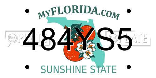 484YS5 Florida License Plate