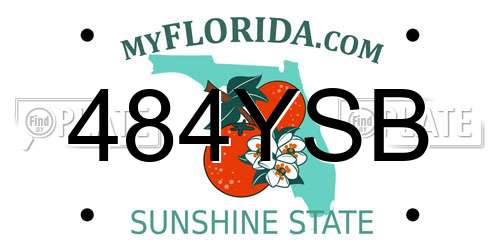 484YSB Florida License Plate