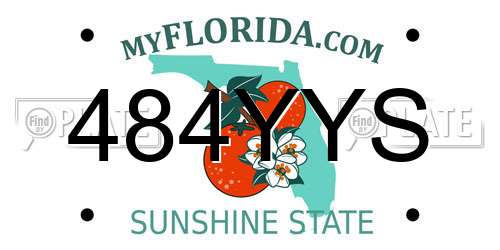 484YYS Florida License Plate