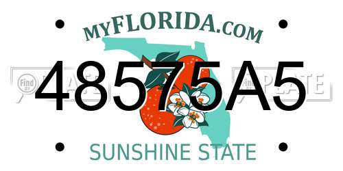 48575A5 Florida License Plate