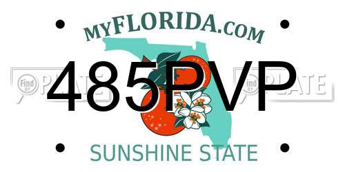485PVP Florida License Plate