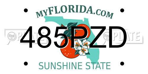 485PZD Florida License Plate