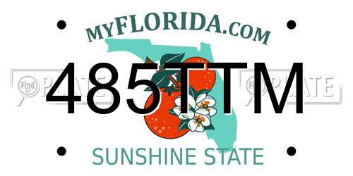 485TTM Florida License Plate