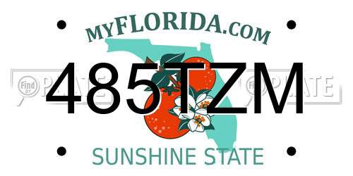 485TZM Florida License Plate
