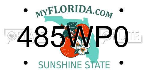 485WP0 Florida License Plate