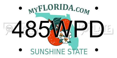 485WPD Florida License Plate