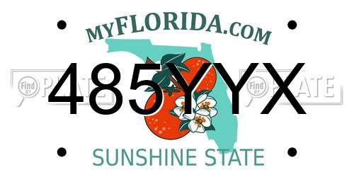 485YYX Florida License Plate
