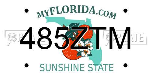 485ZTM Florida License Plate
