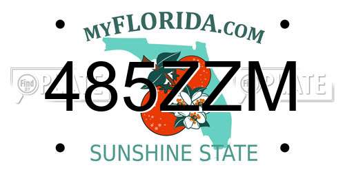 485ZZM Florida License Plate