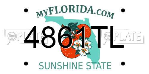 4861TL Florida License Plate