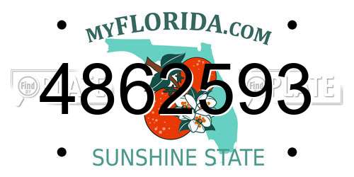 4862593 Florida License Plate