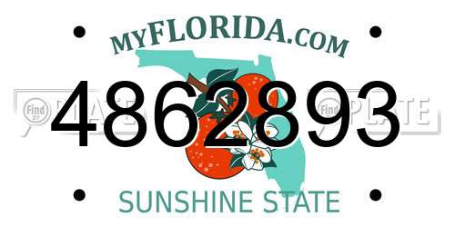 4862893 Florida License Plate