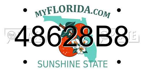 48628B8 Florida License Plate