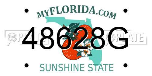 48628G Florida License Plate