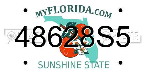 48628S5 Florida License Plate