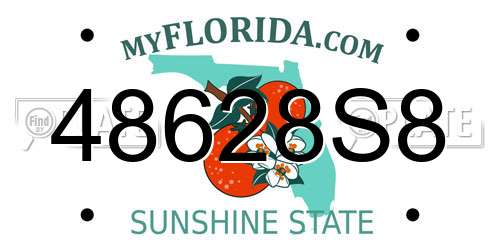 48628S8 Florida License Plate