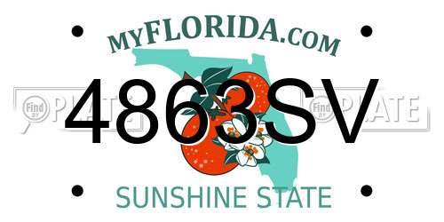 4863SV Florida License Plate