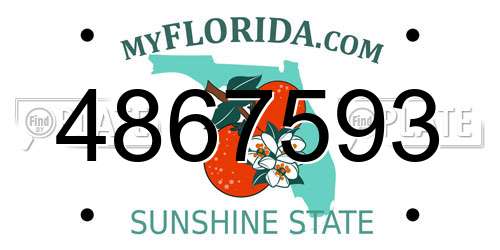 4867593 Florida License Plate