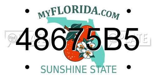 48675B5 Florida License Plate