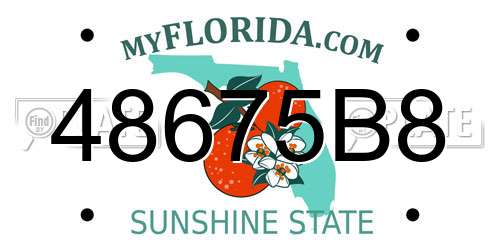48675B8 Florida License Plate