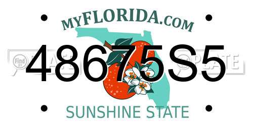 48675S5 Florida License Plate