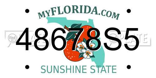 48678S5 Florida License Plate