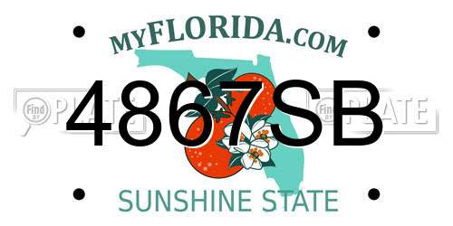 4867SB Florida License Plate