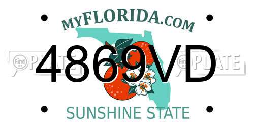 4869VD Florida License Plate