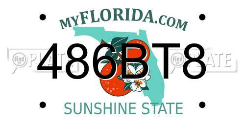 486BT8 Florida License Plate