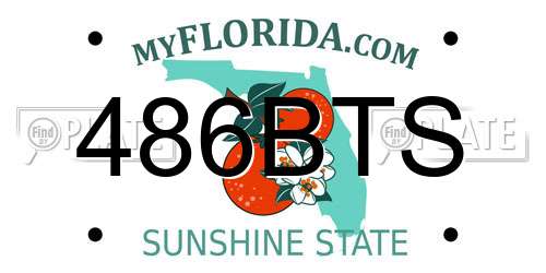 486BTS Florida License Plate