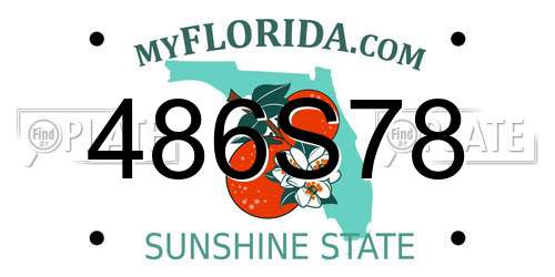 486S78 Florida License Plate