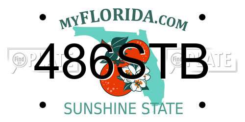 486STB Florida License Plate