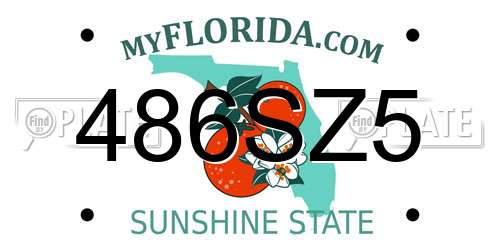 486SZ5 Florida License Plate