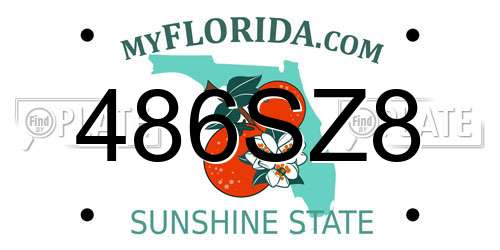 486SZ8 Florida License Plate