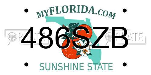 486SZB Florida License Plate