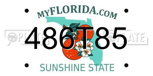 486T85 Florida License Plate