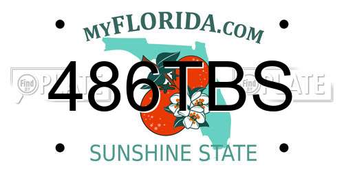 486TBS Florida License Plate