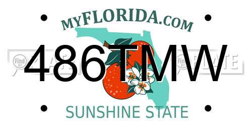 486TMW Florida License Plate