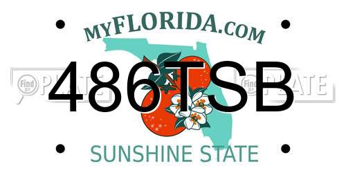 486TSB Florida License Plate