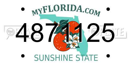 4871125 Florida License Plate