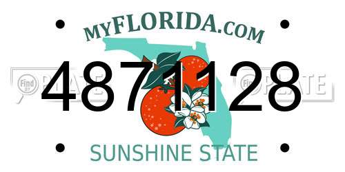 4871128 Florida License Plate