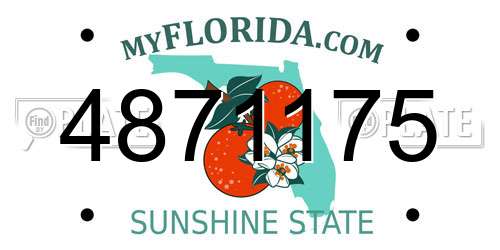 4871175 Florida License Plate