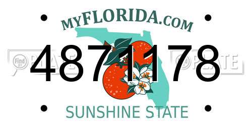 4871178 Florida License Plate