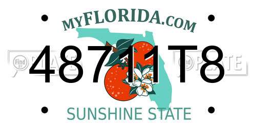 48711T8 Florida License Plate