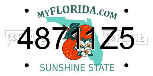 48711Z5 Florida License Plate