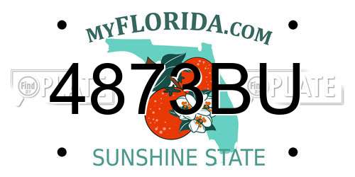 4873BU Florida License Plate
