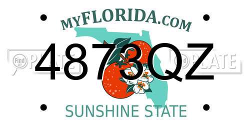 4873QZ Florida License Plate