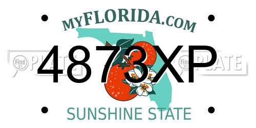 4873XP Florida License Plate
