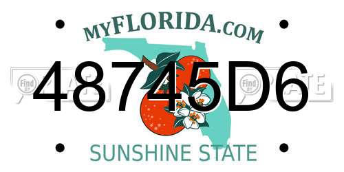 48745D6 Florida License Plate