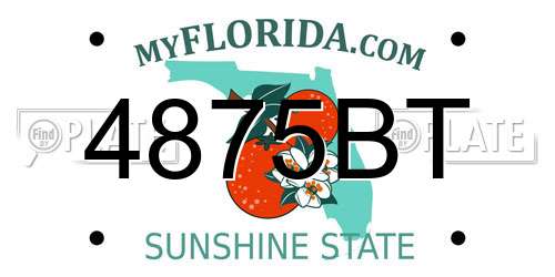 4875BT Florida License Plate
